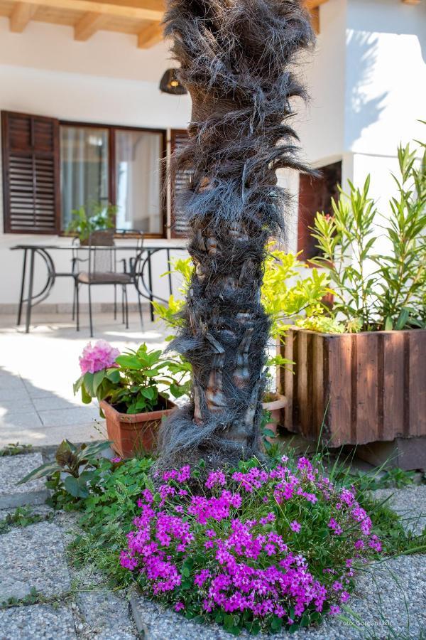 Apartman Luka Rovinj Eksteriør billede